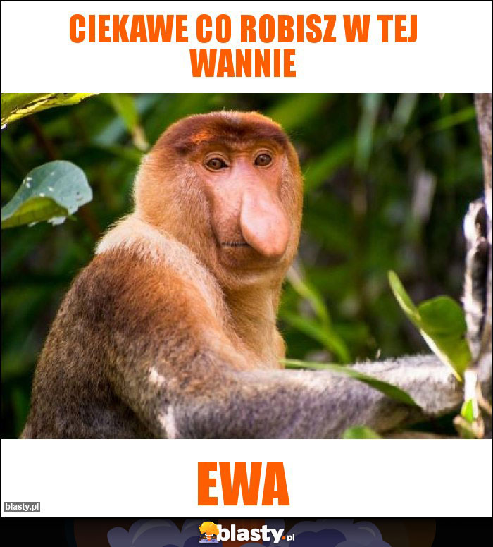 ciekawe co robisz w tej wannie ciekawe co robisz w tej wannie