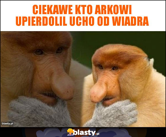 ciekawe kto Arkowi upierdolil ucho od wiadra ciekawe kto Arkowi upierdolil ucho od wiadra