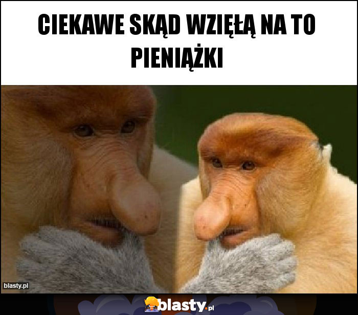 CIEkawe skąd wzięłą na to pieniąŻKI CIEkawe skąd wzięłą na to pieniąŻKI