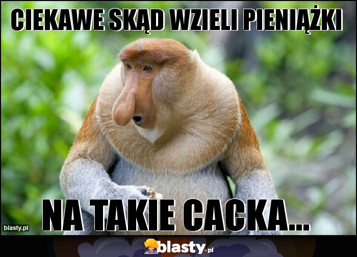 Ciekawe skąd wzieli pieniążki Ciekawe skąd wzieli pieniążki