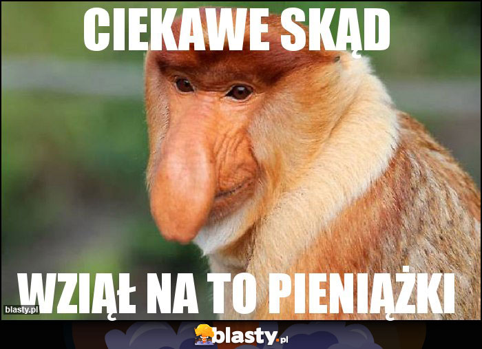 Ciekawe skąd Ciekawe skąd
