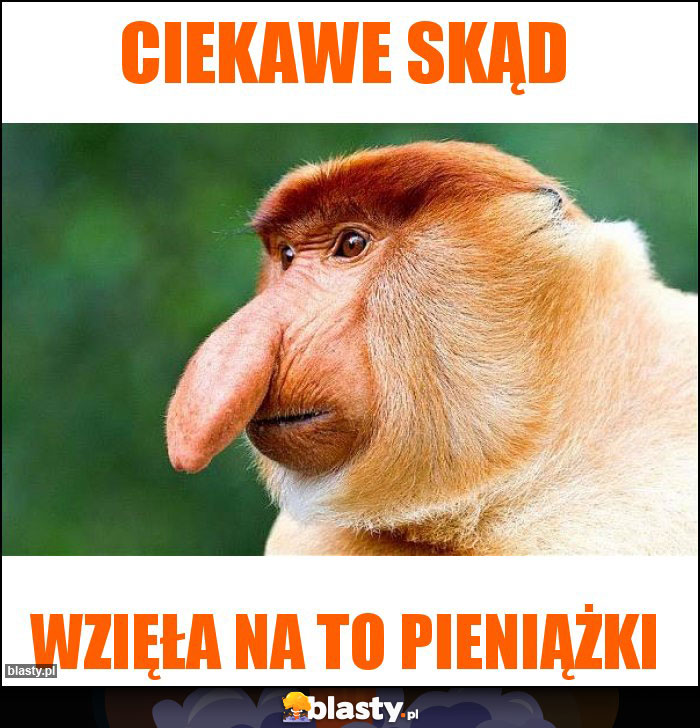 Ciekawe skąd Ciekawe skąd