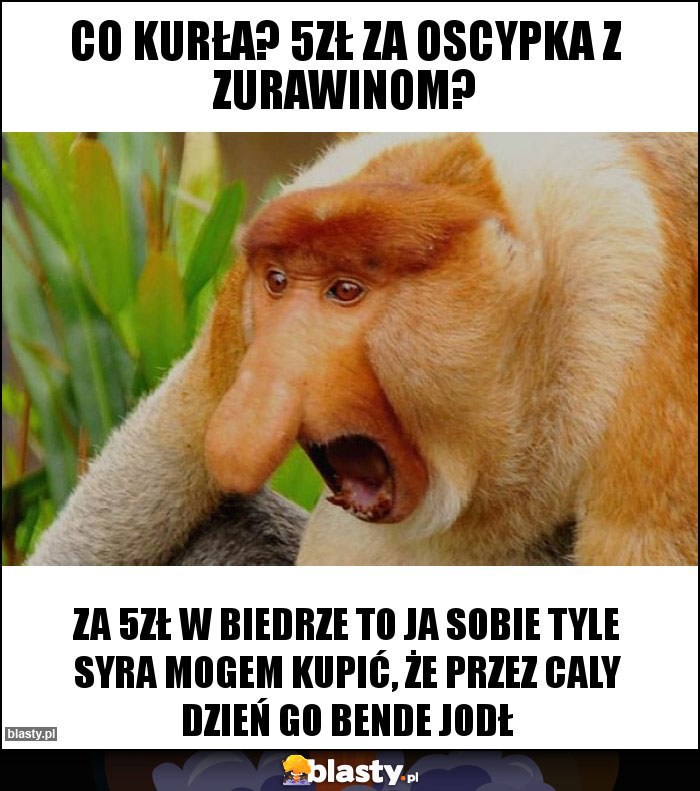 Co kurła? 5zł za oscypka z zurawinom? Co kurła? 5zł za oscypka z zurawinom?