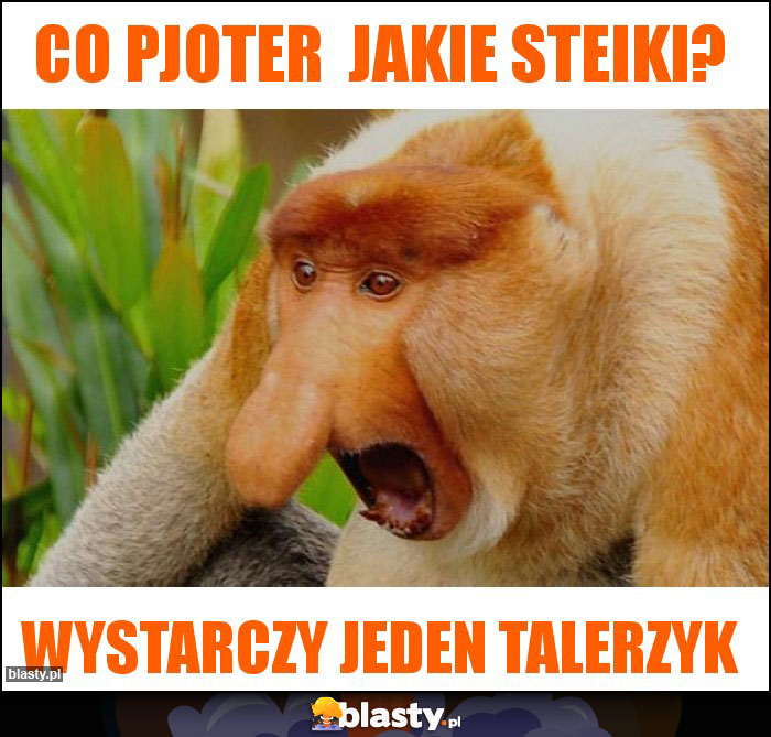Co Pjoter jakie steiki? Co Pjoter jakie steiki?