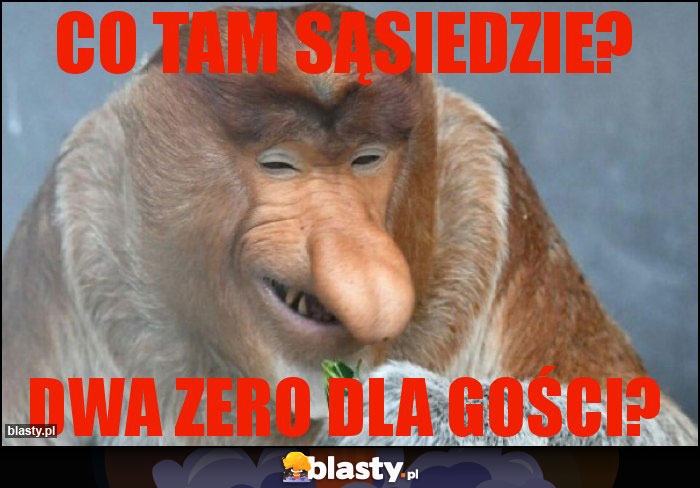 co tam sąsiedzie? co tam sąsiedzie?