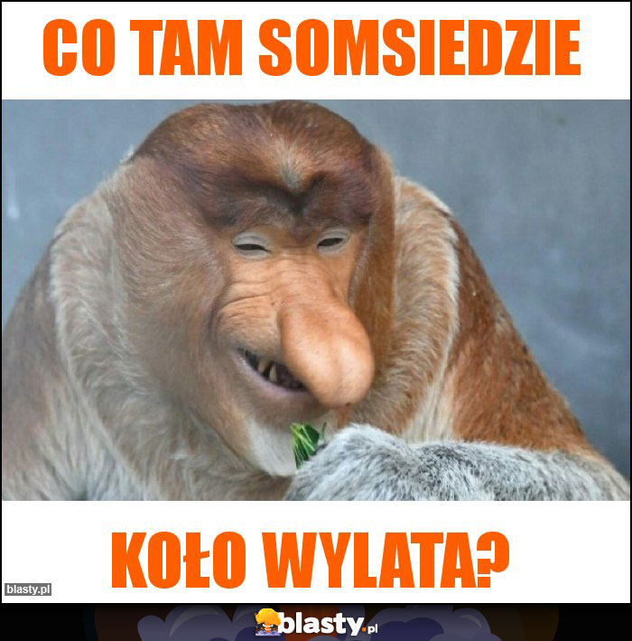 co tam somsiedzie co tam somsiedzie