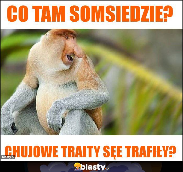 Co tam somsiedzie? Co tam somsiedzie?