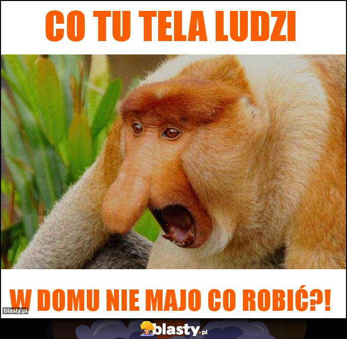 Co tu tela ludzi Co tu tela ludzi