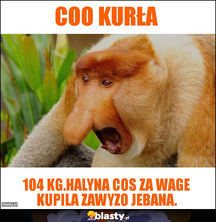Coo kurła