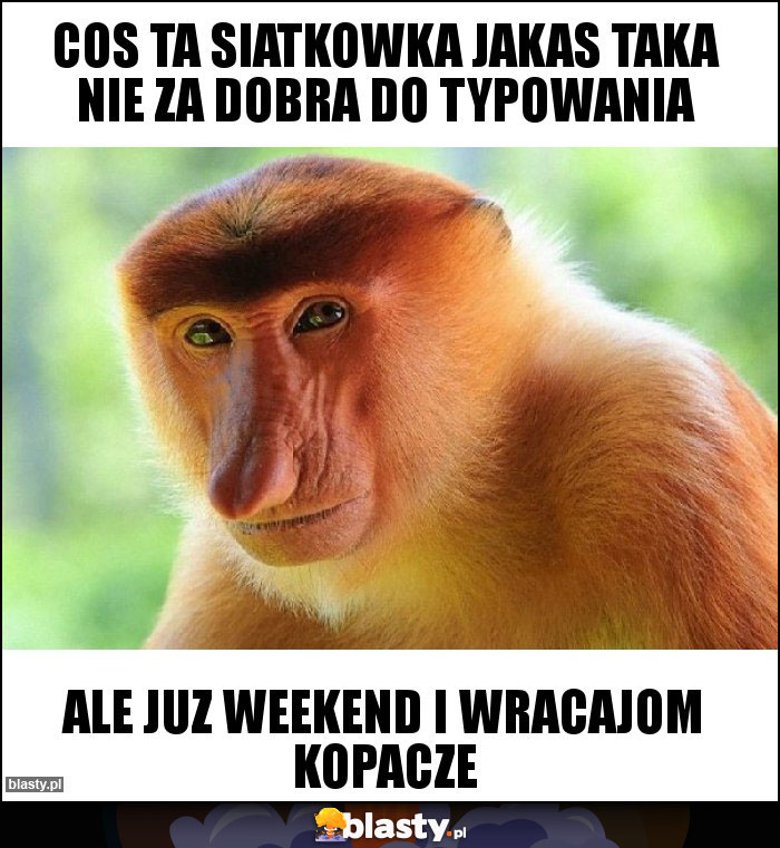 Cos ta siatkowka jakas taka nie za dobra do typowania Cos ta siatkowka jakas taka nie za dobra do typowania