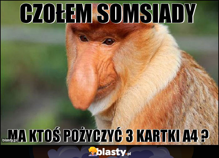 CZOŁEM SOMSIADY CZOŁEM SOMSIADY