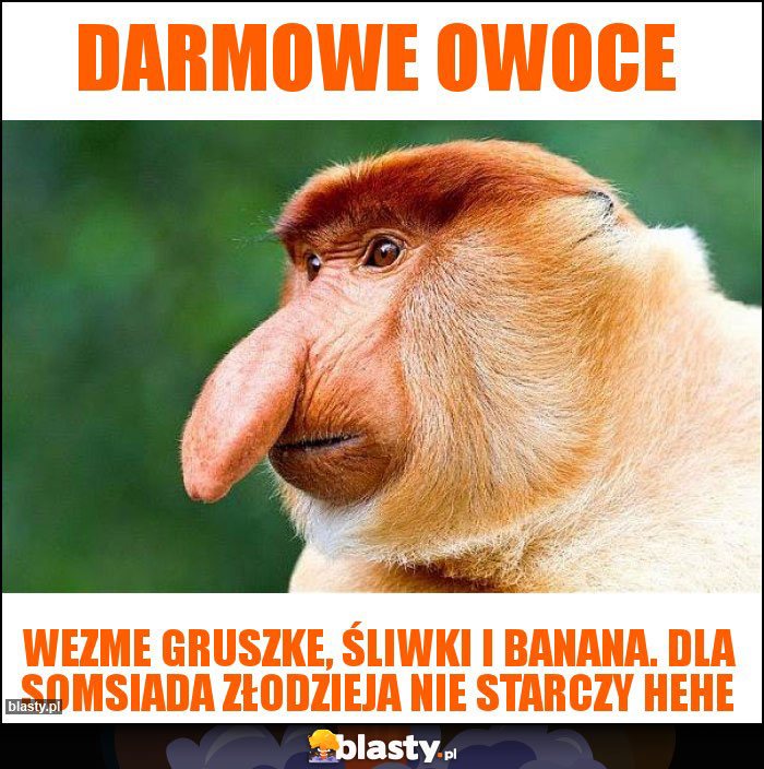 Darmowe Owoce Darmowe Owoce