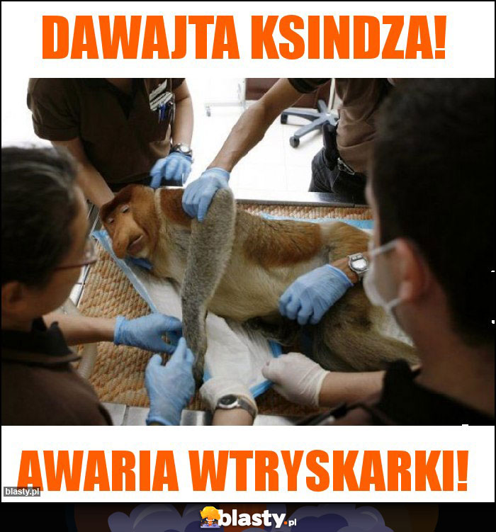 Dawajta ksindza! Dawajta ksindza!