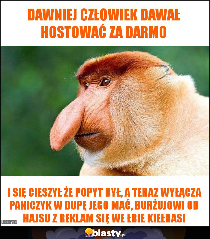 Dawniej człowiek dawał hostować za darmo Dawniej człowiek dawał hostować za darmo