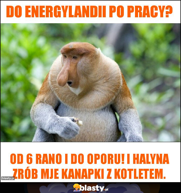 Do Energylandii po pracy?