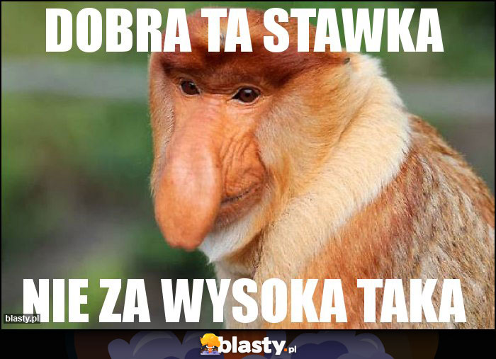 Dobra ta stawka Dobra ta stawka