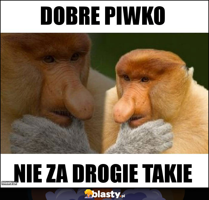 Dobre piwko Dobre piwko