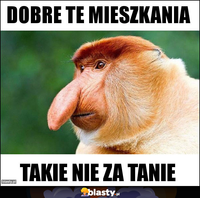 Dobre te mieszkania Dobre te mieszkania