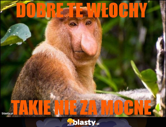 Dobre te Włochy Dobre te Włochy