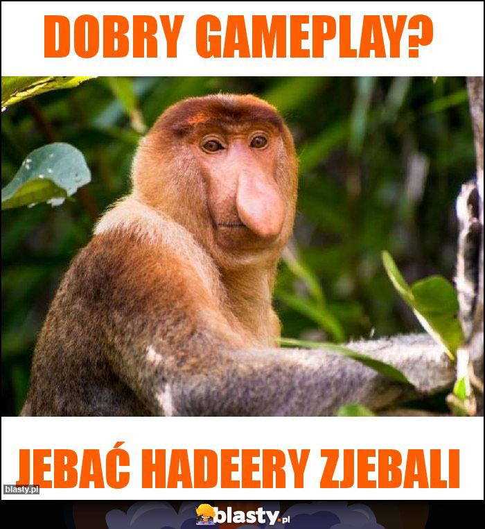 Dobry gameplay? Dobry gameplay?