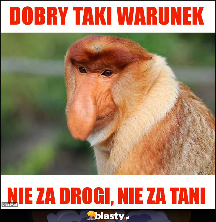 DOBRY TAKI WARUNEK DOBRY TAKI WARUNEK