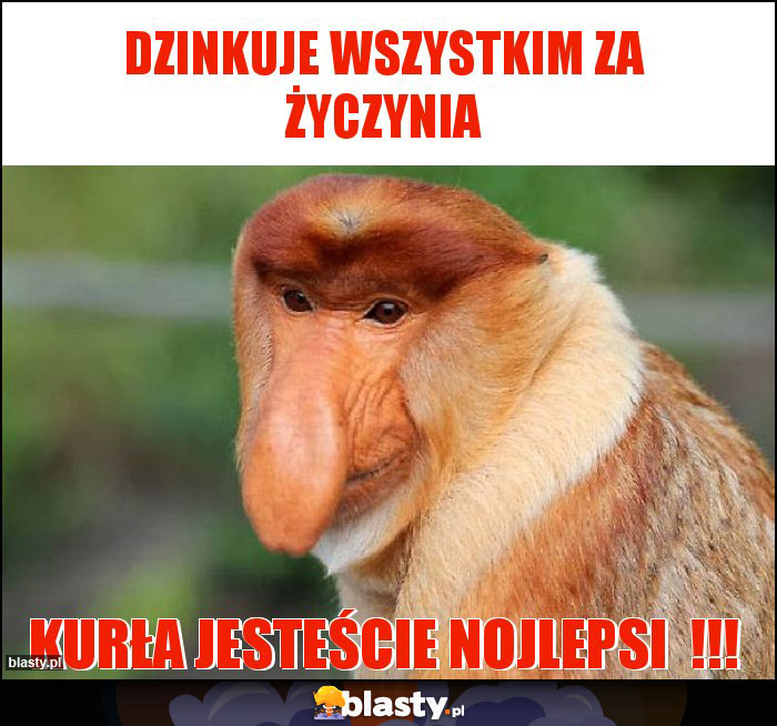 Dzinkuje Wszystkim za życzynia Dzinkuje Wszystkim za życzynia