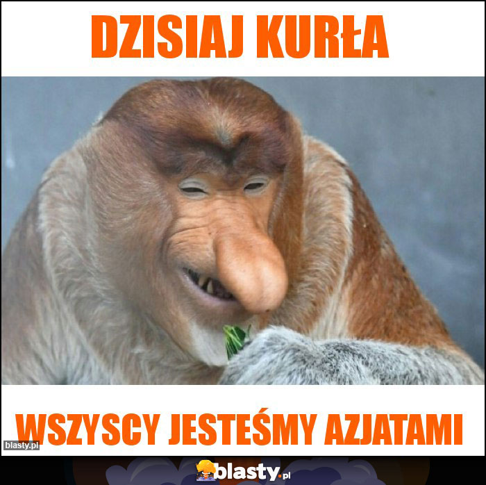 Dzisiaj kurła Dzisiaj kurła