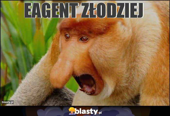 eagent złodziej