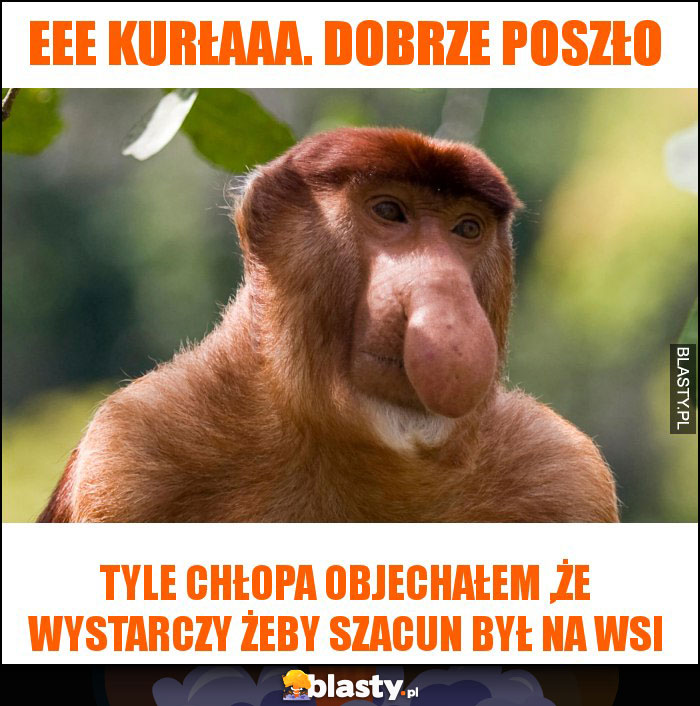 Eee kurłaaa. Dobrze poszło Eee kurłaaa. Dobrze poszło