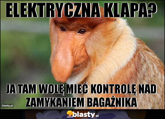 elektryczna klapa? elektryczna klapa?