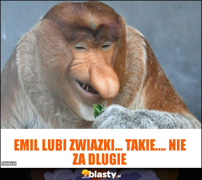 Emil lubi zwiazki... Takie.... Nie za dlugie Emil lubi zwiazki... Takie.... Nie za dlugie