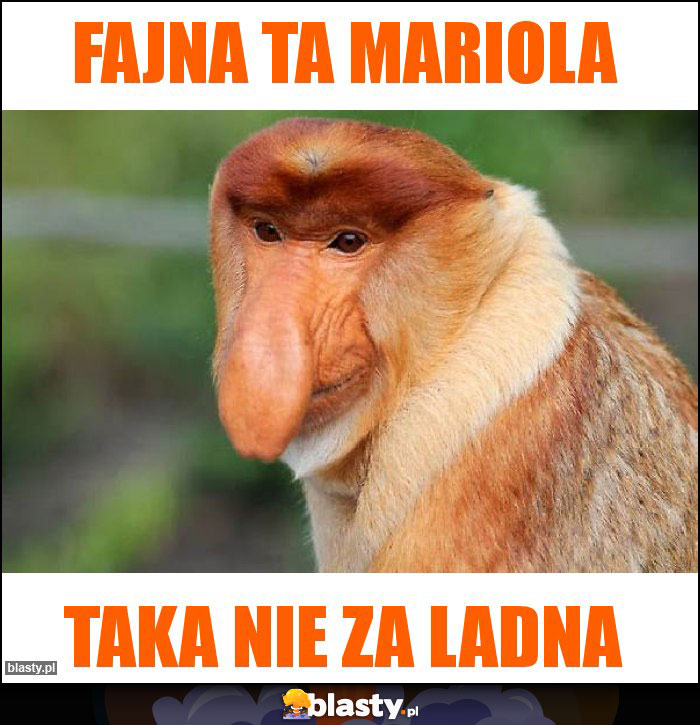 Fajna ta mariola Fajna ta mariola
