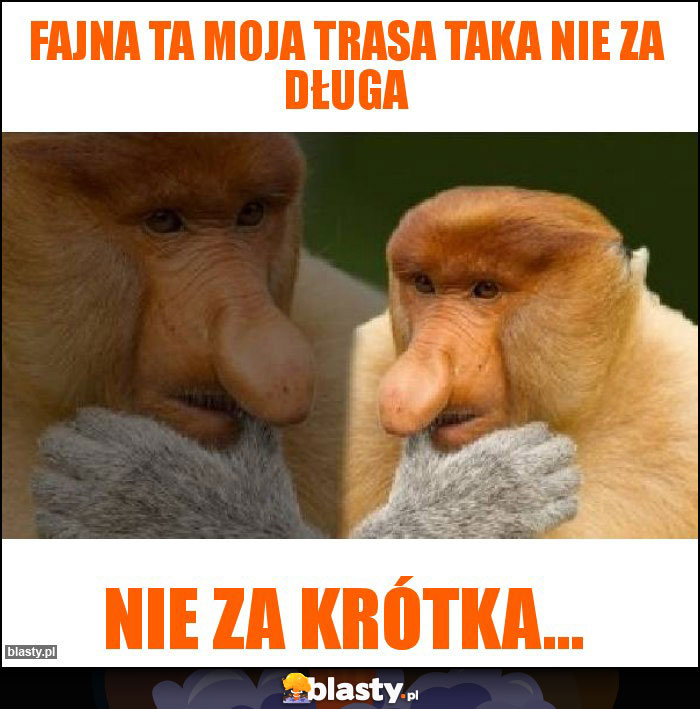 Fajna ta moja trasa taka nie za długa Fajna ta moja trasa taka nie za długa