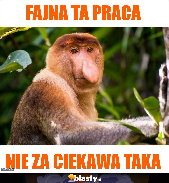 fajna ta praca fajna ta praca