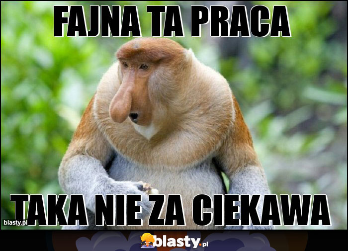 Fajna ta praca Fajna ta praca