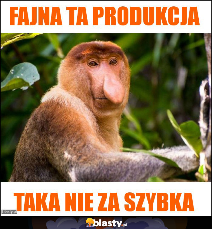 Fajna ta produkcja Fajna ta produkcja