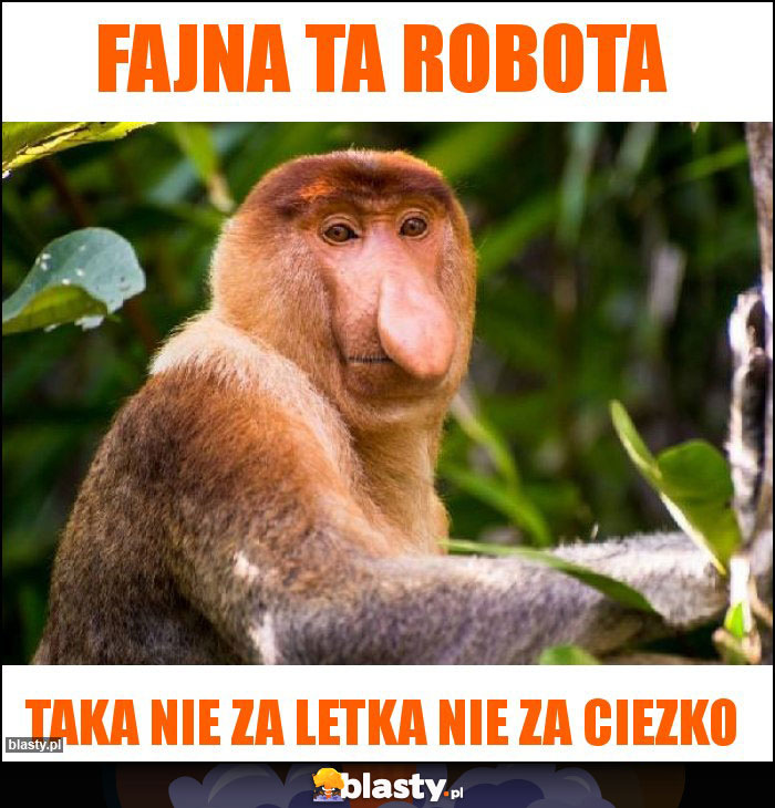Fajna ta robota Fajna ta robota