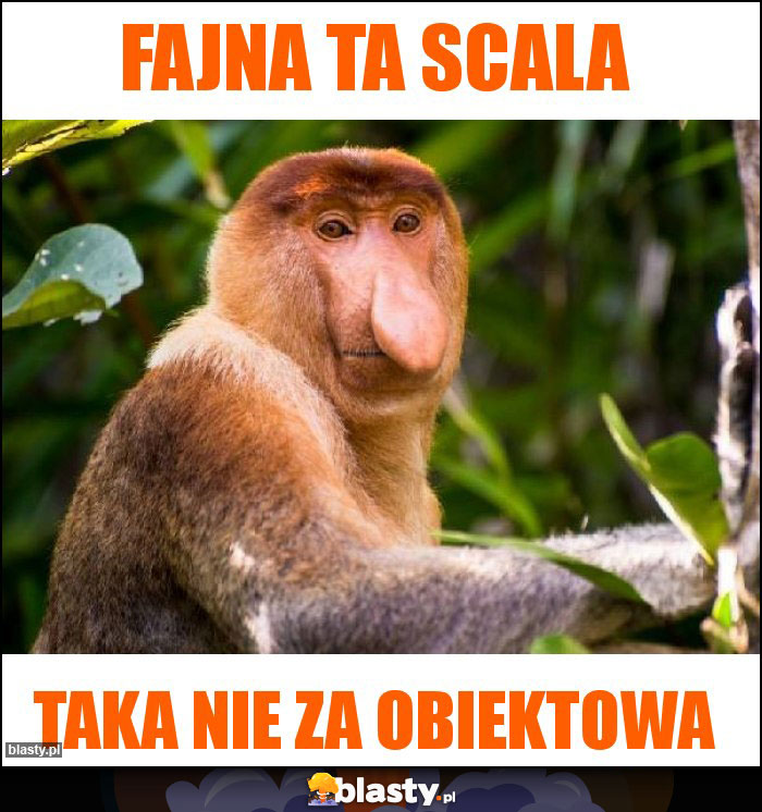 FAJNA TA SCALA FAJNA TA SCALA