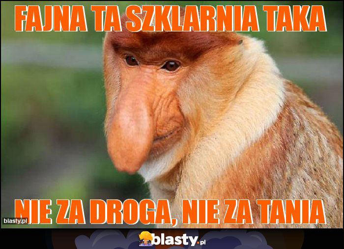 fajna ta szklarnia taka memy, gify i śmieszne obrazki facebook, tapety,  demotywatory zdjęcia