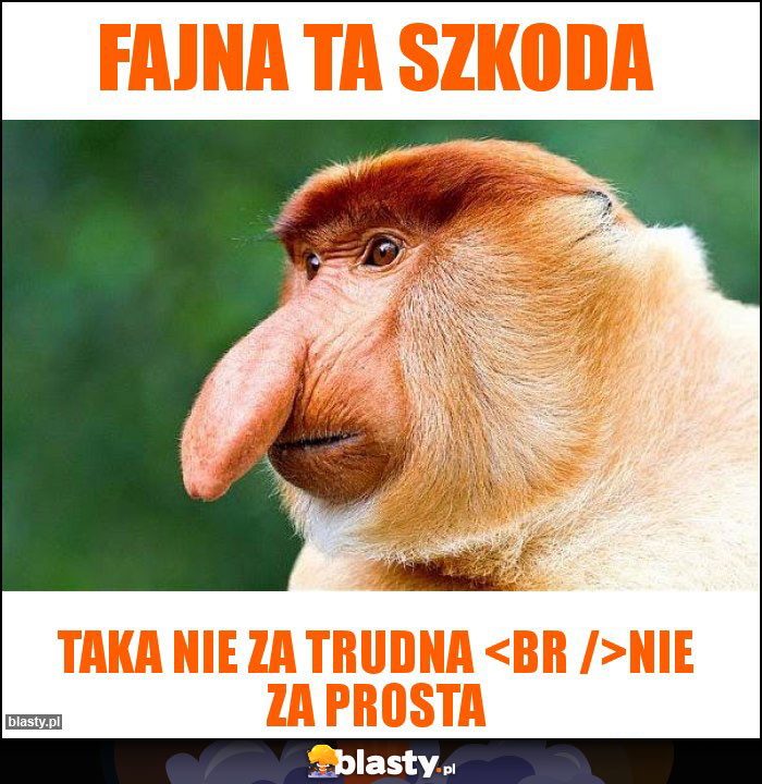 Fajna ta szkoda Fajna ta szkoda