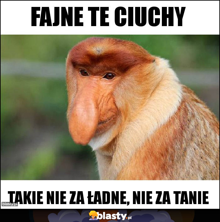 Fajne te ciuchy Fajne te ciuchy