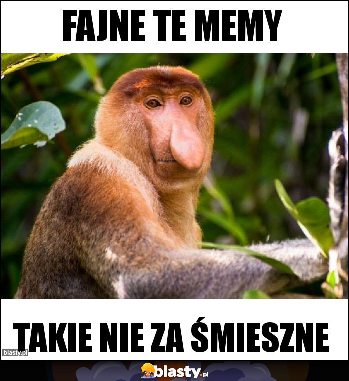 FAJNE TE MEMY FAJNE TE MEMY