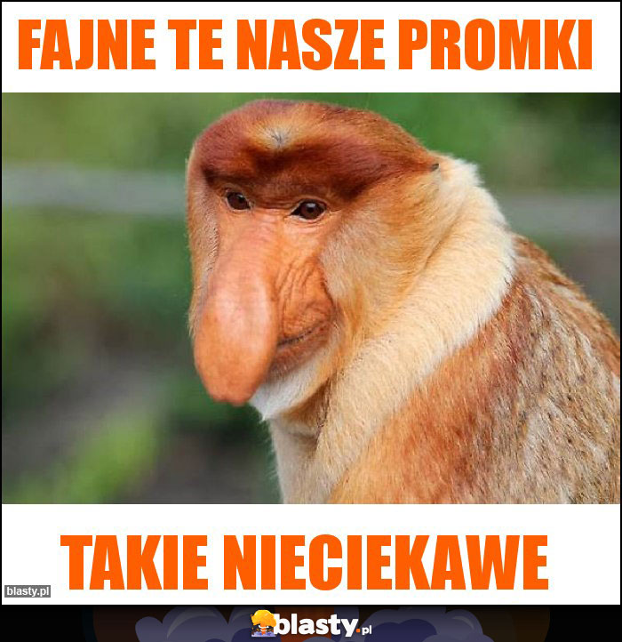 Fajne te nasze promki Fajne te nasze promki