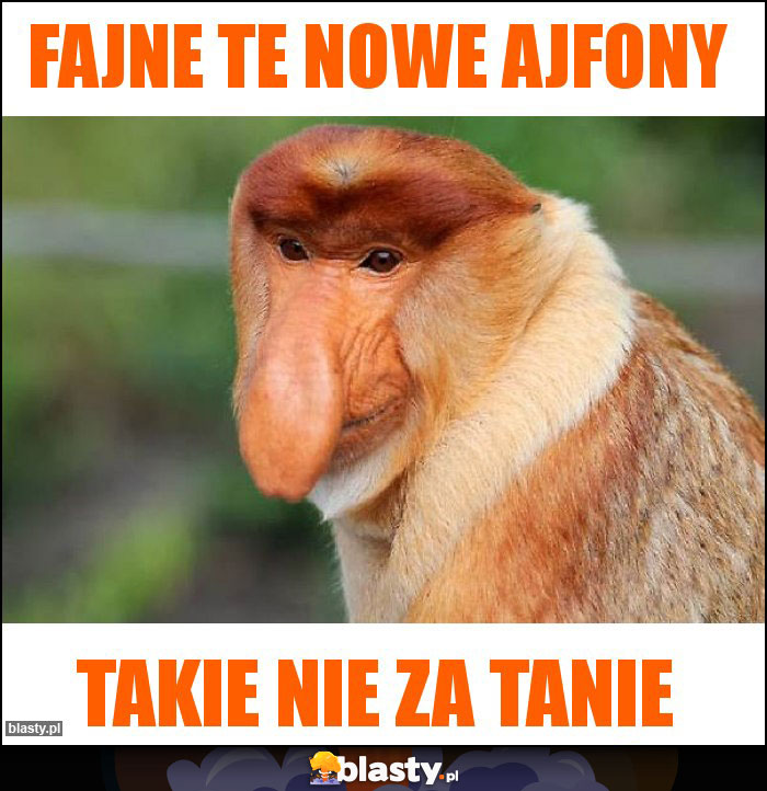 Fajne te nowe ajfony Fajne te nowe ajfony
