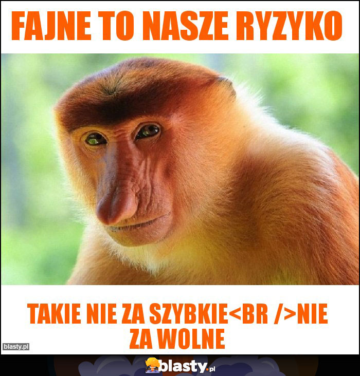 Fajne to nasze ryzyko Fajne to nasze ryzyko