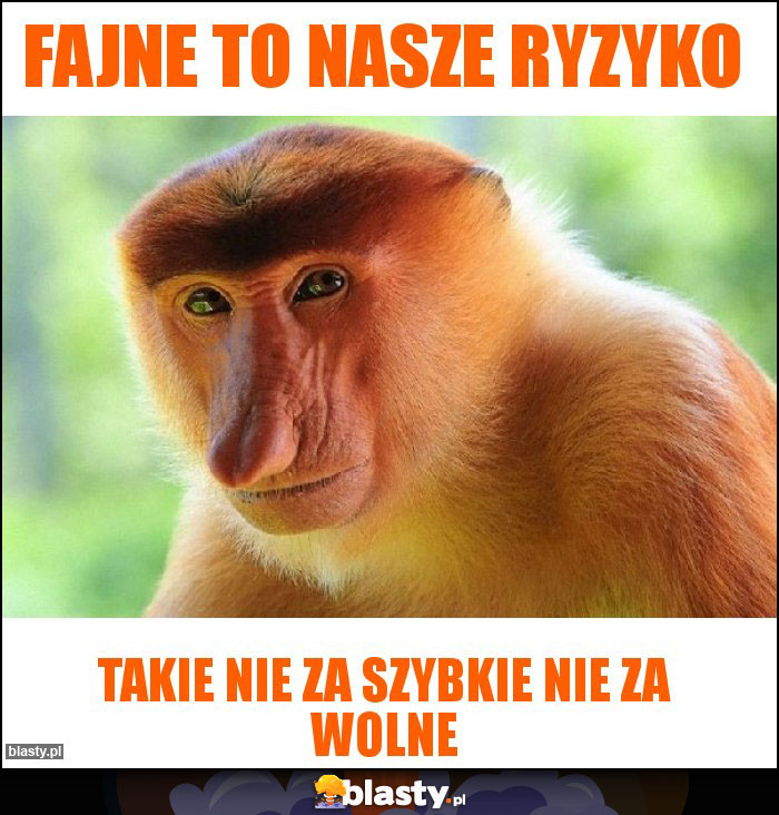 Fajne to nasze ryzyko Fajne to nasze ryzyko