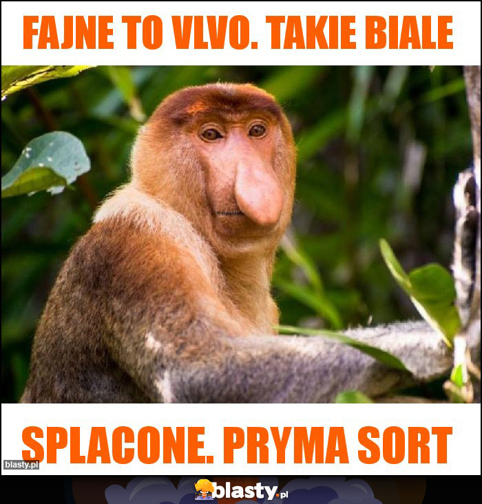 Fajne to vlvo. Takie biale Fajne to vlvo. Takie biale