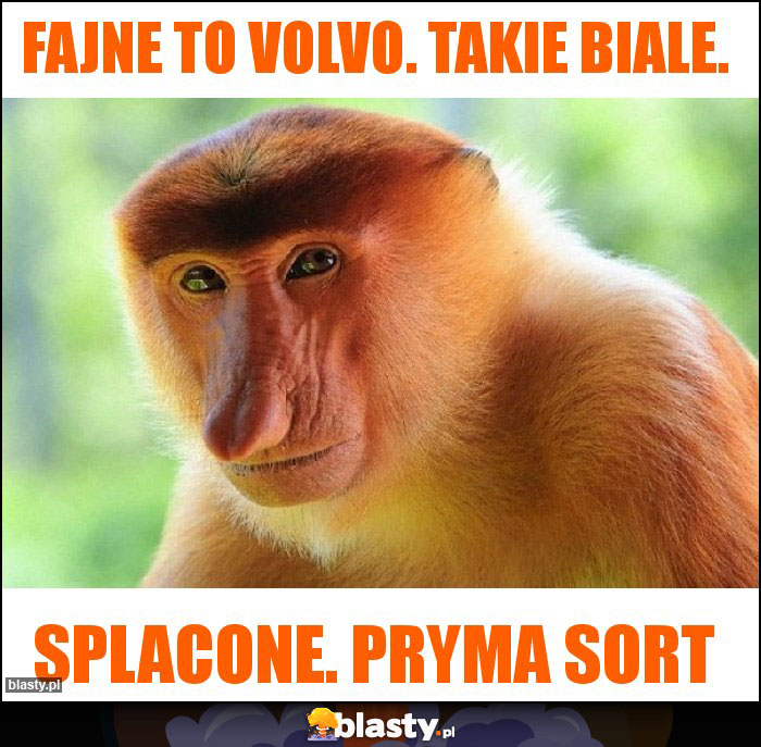 Fajne to volvo. Takie biale. Fajne to volvo. Takie biale.