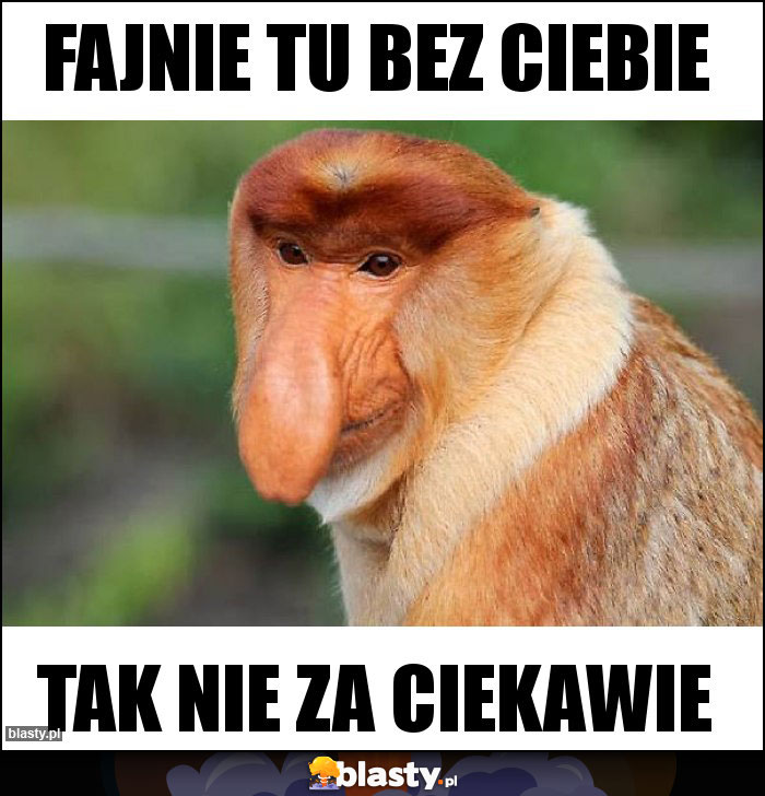 Fajnie tu bez Ciebie Fajnie tu bez Ciebie