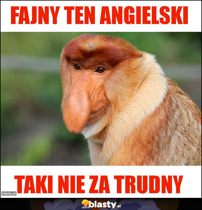 fajny ten angielski fajny ten angielski
